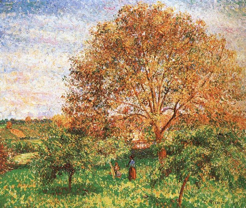 Camille Pissarro Red sky under the apple tree oil painting image